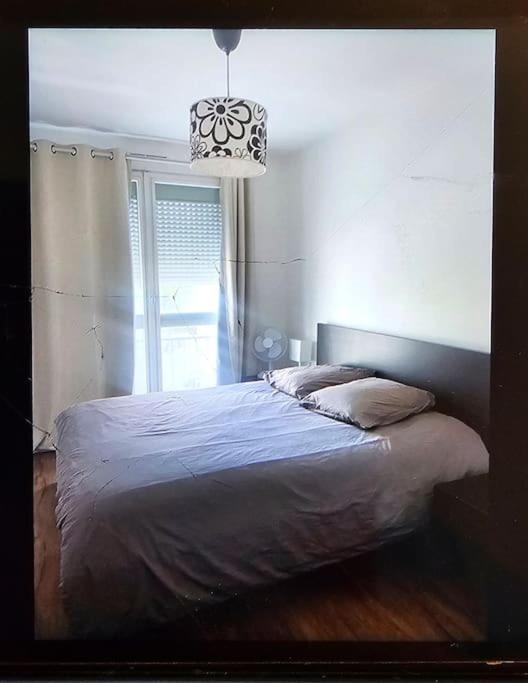 Chez Pascal Sissi -Grand Appart,Ile Nantes, Ccgres エクステリア 写真